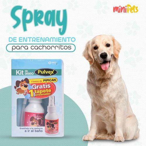 Spray de entrenamiento para cachorros