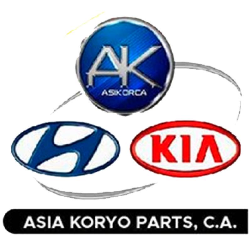 Tienda de venta de repuestos Kia Hyundai