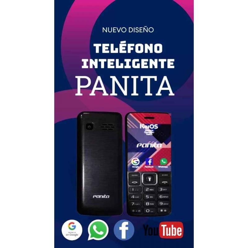 Teléfono Inteligente Dual Sim Con Wifi Y Whatsapp Panita